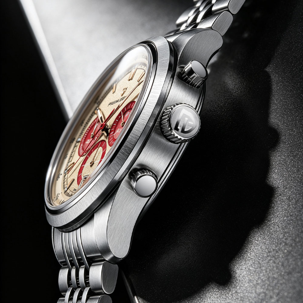PAGANI DESIGN New Men Watch Lu - Luxury Watch Men recension och pris