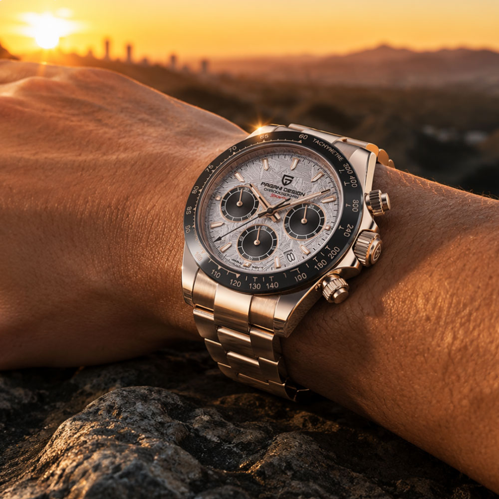 Top Brand PAGANI DESIGN Luxury - Luxury Watch Maker recension och pris