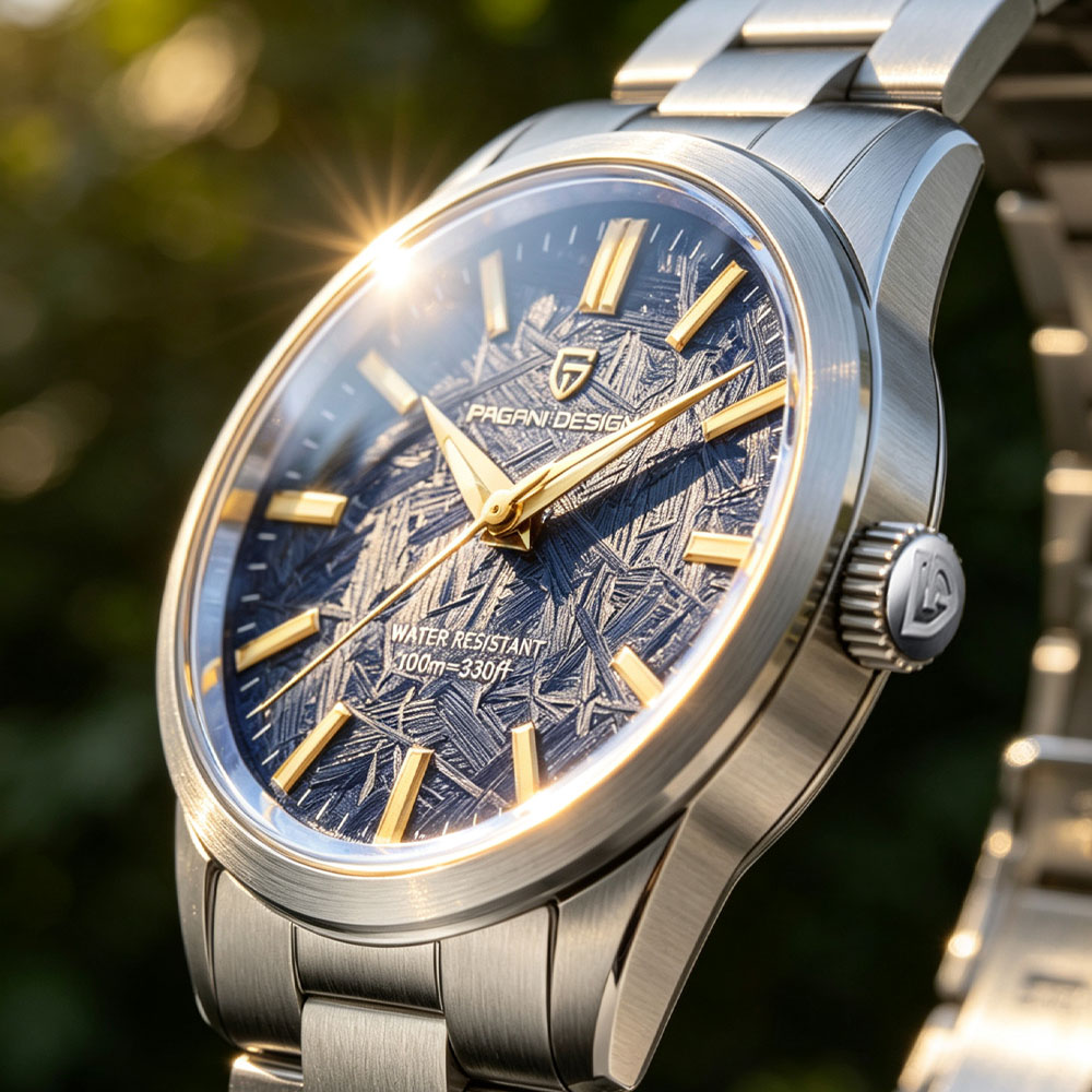 PAGANI DESIGN 40MM Men Quartz  - Luxury Watch Price recension och pris