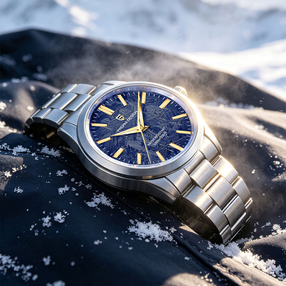 PAGANI DESIGN 40MM Men Quartz  - Luxury Watch Price recension och pris